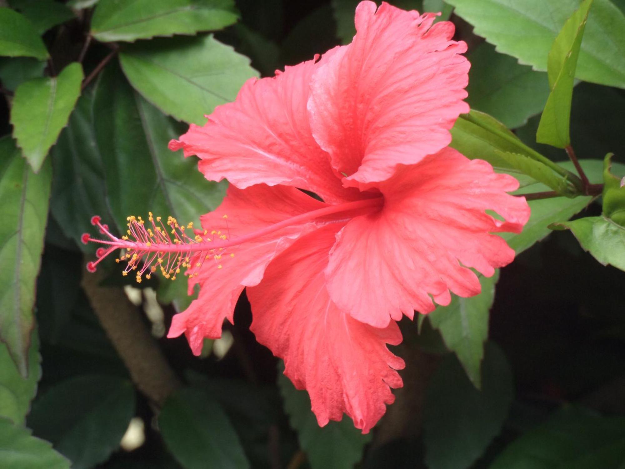 Caraibes Holidays Sainte-Anne Luaran gambar